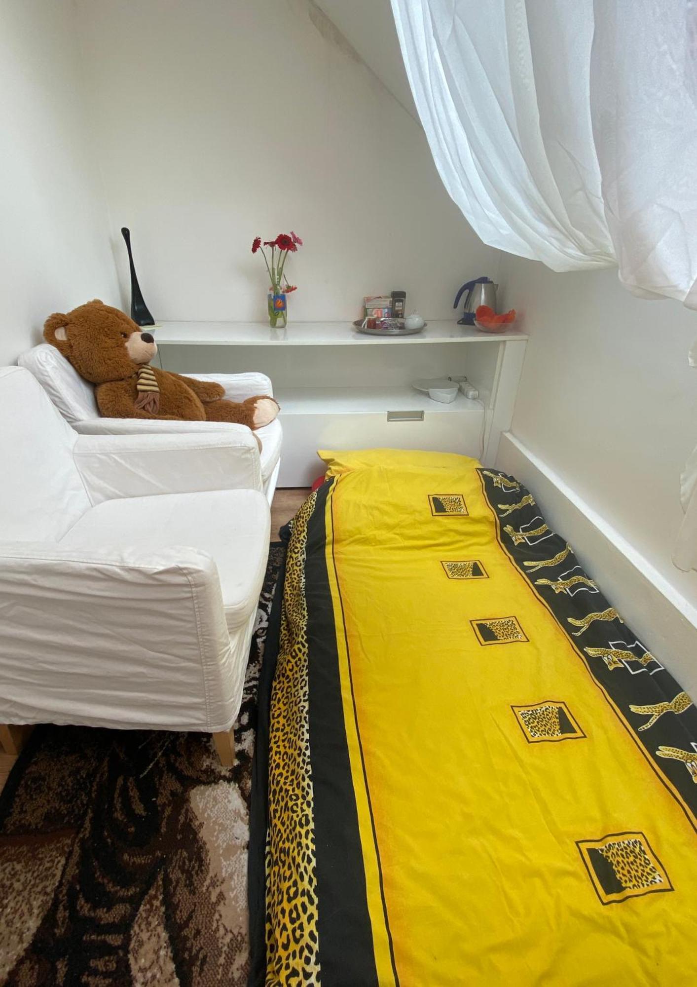 Solo Loft With Spectacular Views Homestay